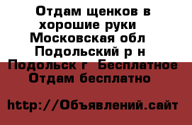 Отдам щенков в хорошие руки - Московская обл., Подольский р-н, Подольск г. Бесплатное » Отдам бесплатно   